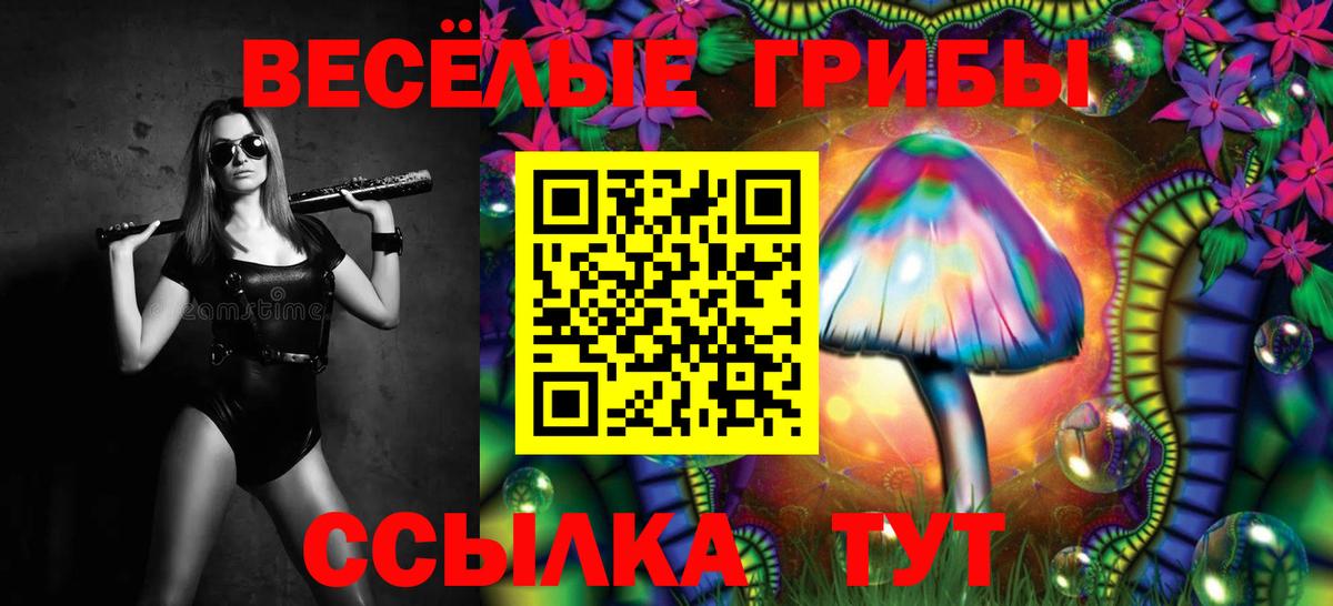 Галлюциногенные грибы ЛСД  Вход с VPN  Мурманск  Псилоцибиновые грибы GOLDEN TEACHER 